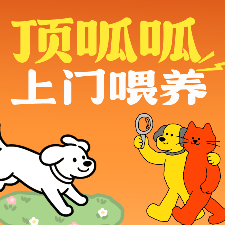 顶呱呱宠物喂养
